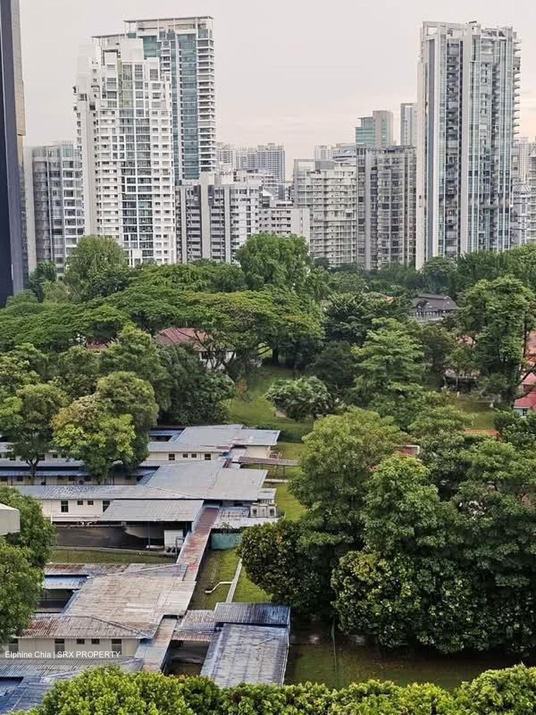 Blk 69 Moulmein View (Bukit Timah), HDB 4 Rooms #565789021